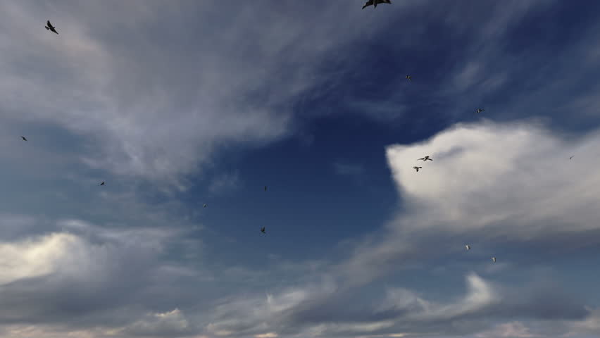 Pigeons flying against cloudy blue sky