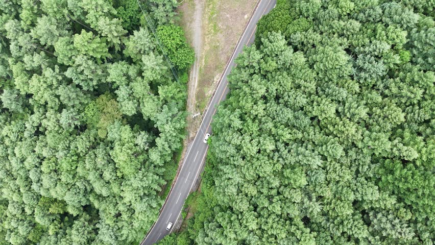 Aerial view of winding road through dense green forest. Two cars travel along narrow asphalt path. Trees stretch in all directions, forming a vast canopy. No people, no animals visible