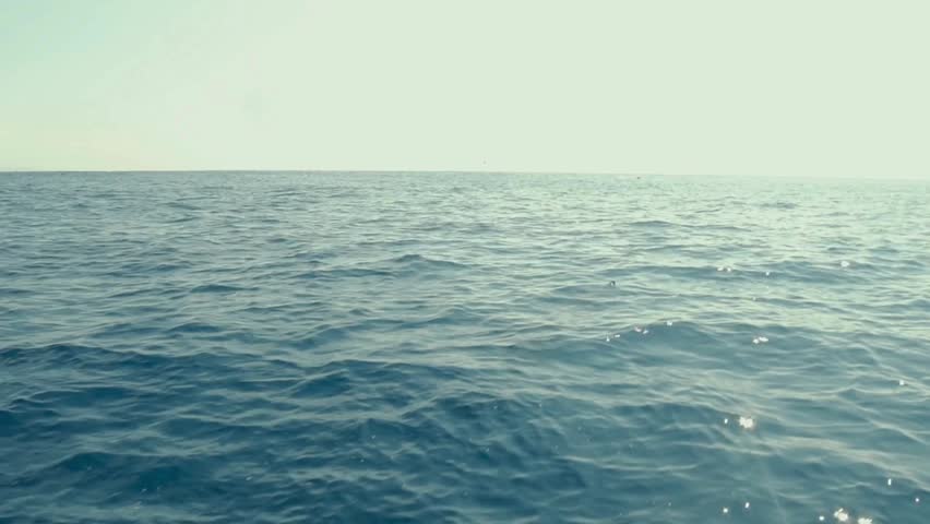 Slow motion shot of a dolphin leaping vertically out of the ocean water against a bright sky