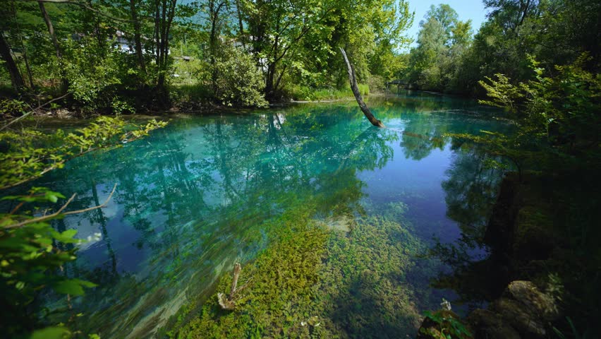 Transparent clear turquoise water and tree reflections at Santissima spring, Italy with vibrant green forest.
