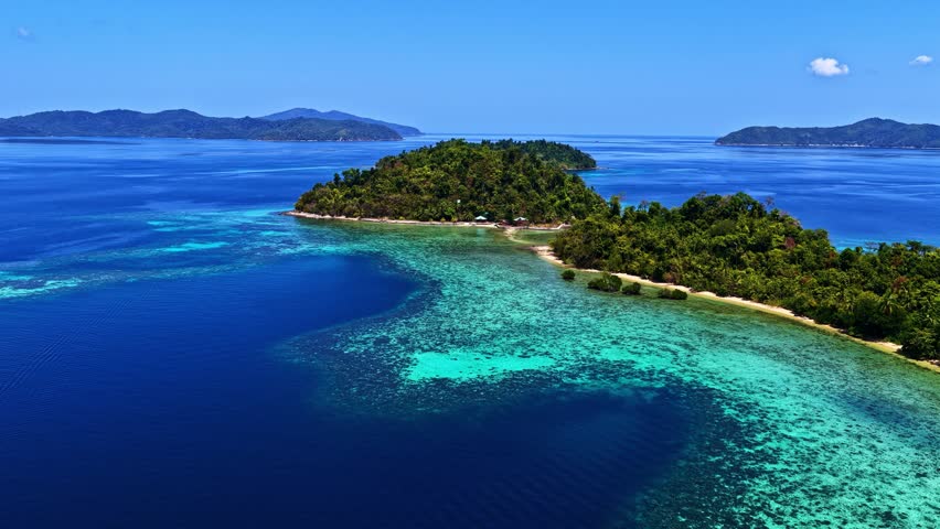 Aerial view of a lush tropical island surrounded by vibrant coral reefs and deep blue ocean waters in the Philippines.