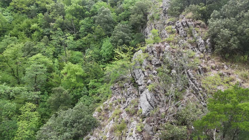 Aerial view of a rocky ridge rising above a dense green forest
