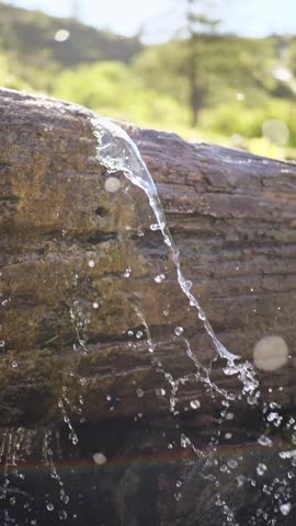 Fresh water spilling over a weathered mossy wooden log in a sunlit forest, sparkling backlit droplets and a faint rainbow, pure nature background