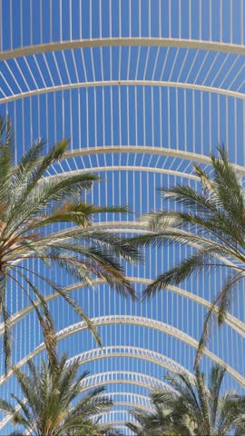 Valencia City of Arts and Sciences L Umbracle aerial bottom view palm trees under white futuristic metal arch structure Spain modern architecture travel tourism landmark