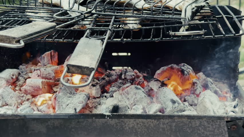 Close up view of fresh sea bream fish grilling over hot charcoal flame on outdoor barbecue grate during summer cookout
