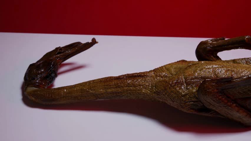 Panning shot of whole roasted duck with crispy brown skin lying on white surface traditional festive meal preparation gourmet poultry dish