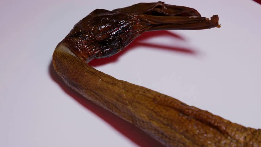 Close up panning shot along whole roasted duck neck and body showing crispy golden brown skin savory gourmet poultry dish