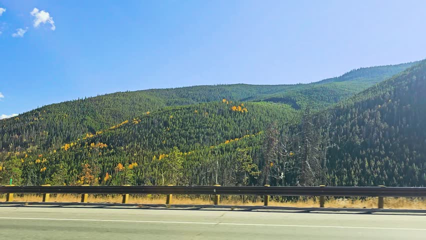 Moving vehicle perspective of autumn mountains, with a dense evergreen hillside, scattered golden aspens, roadside trees, and sunny blue sky in clear daytime weather while driving.