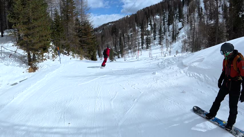 Group of friends having fun while snowboarding and skiing together on a sunny day, descending a snowy slope surrounded by a beautiful forest in the majestic dolomites mountain range