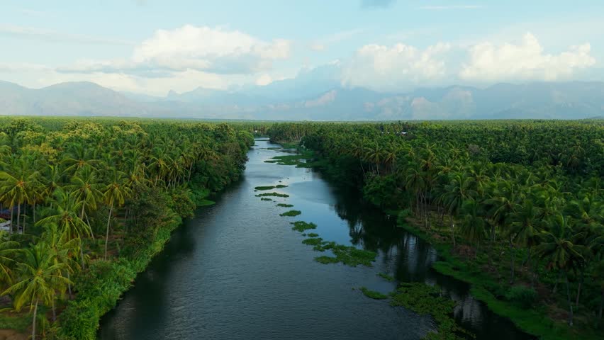 An aerial drone view shows a calm river winding through lush coconut palm groves and green banks, with misty mountains rising in the distance across the rural South Indian countryside.
