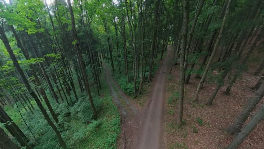 Elevated static view of a forest path fork junction with both directions visible. A cyclist enters from below and exits down the left trail, creating natural motion through the junction. Ideal for trail guides and adventure lifestyle content