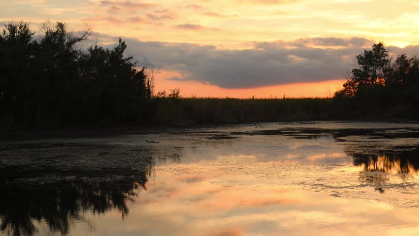Louisiana, a flooded swamp forest in a wetland at sunset. Orange reflections of the setting sun shimmer on the water surface.