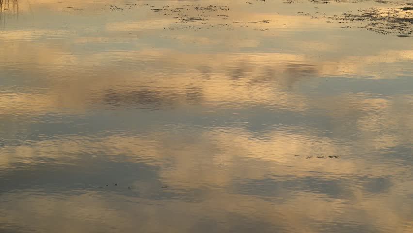 Louisiana, This image depicts a serene water surface reflecting the colors of a sunset or sunrise.The water surface shows soft ripples and orange-golden hues combined with blue tones.The reflections suggest a cloudy sky, characteristic of natural wetland or coastal environments.