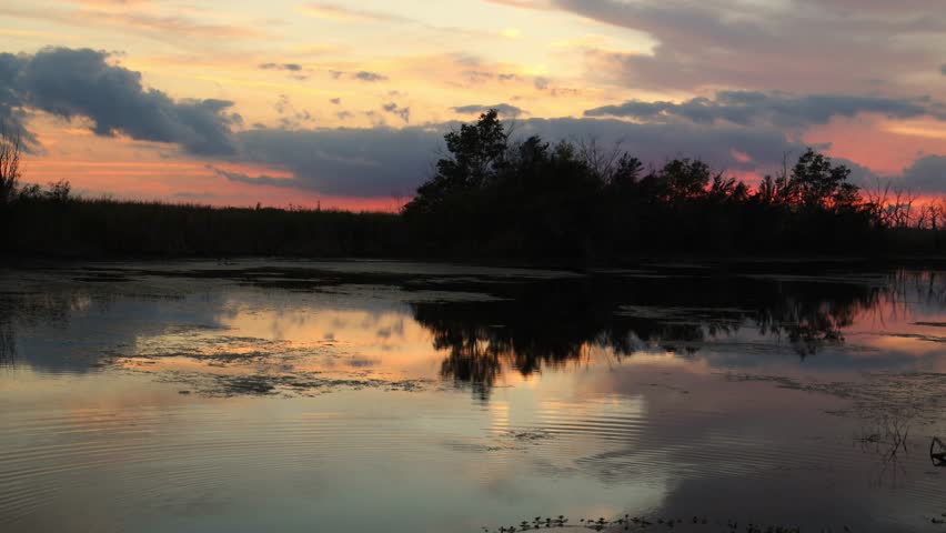 Louisiana, a flooded swamp forest in a wetland at sunset. Orange reflections of the setting sun shimmer on the water surface.