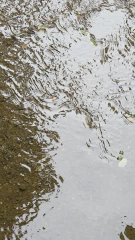 Beautiful  natural water spring close-up