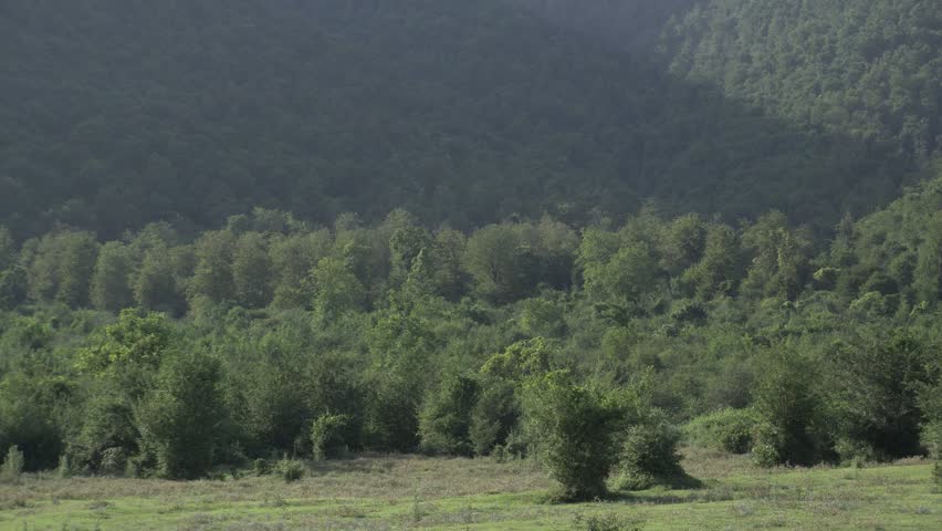 Scenic view of a majestic valley landscape featuring rolling hills, lush greenery, and breathtaking natural scenery that captures the tranquility and grandeur of the great outdoors.