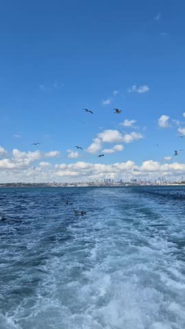 A boat travels over water with waves trailing behind. Birds fly above as the city skyline appears in the distance during daytime. The sky is bright and blue.
