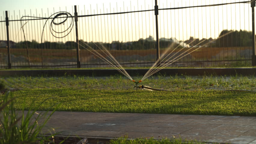 Spinning lawn sprinkler watering a lush green grass yard during a beautiful golden hour sunset with a fence and sidewalk creating a serene suburban landscape background