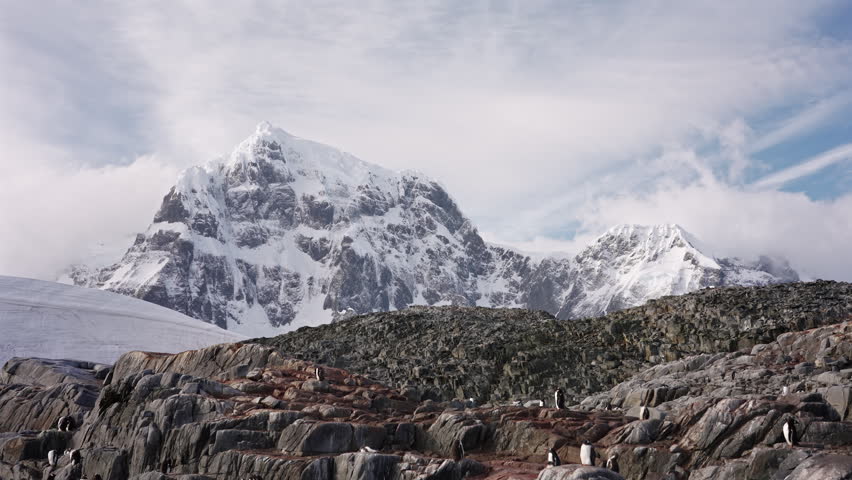 Penguins Among Rocky Antarctic Mountains