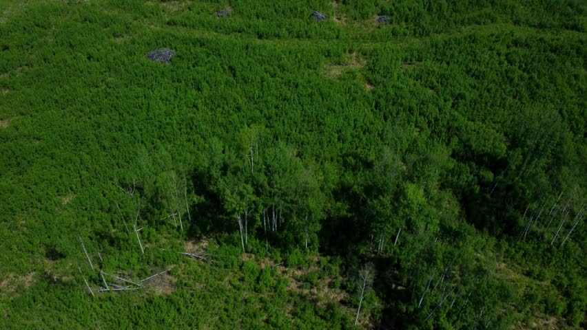 Oil and Gas Drilling Rig in Northern Alberta Wilderness