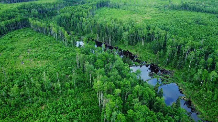 Wide Aerial View of Alberta Countryside with Forest, Fields, and Waterway