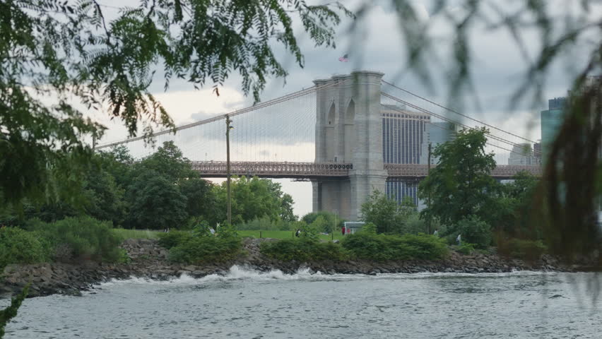 distant view of Brooklyn Bridge framed by fluttering leaves