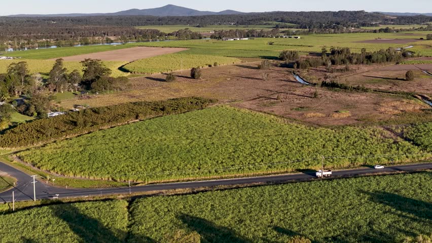 High-angle drone shot of a truck driving past green sugarcane fields in Maclean, Australia.