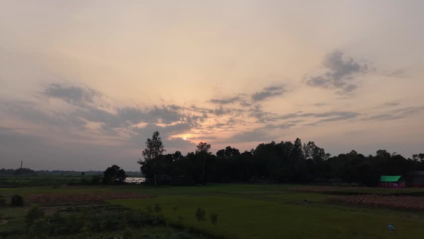 Serene rural landscape at sunset with silhouetted trees and soft clouds over agricultural fields