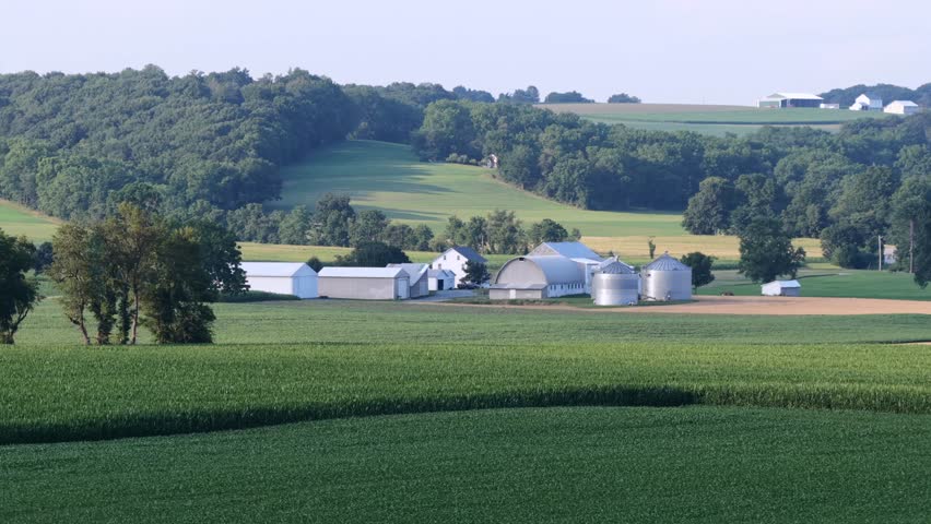White farm buildings and metal grain silos cluster among rolling green hills, dense green cornfield stretches toward wooded ridgeline in Maxatawny, Pennsylvania, USA. Aerial drone wide shot