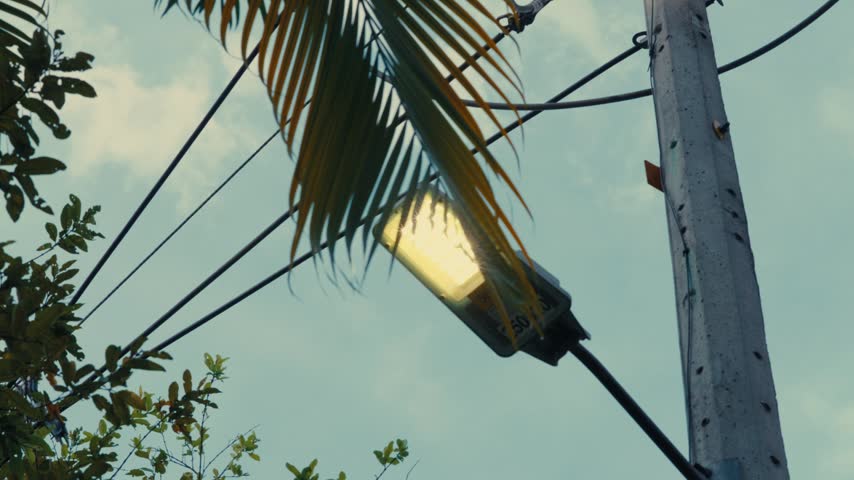 Medellin, Colombia - Palm Tree and Street Lamp Against the Sky