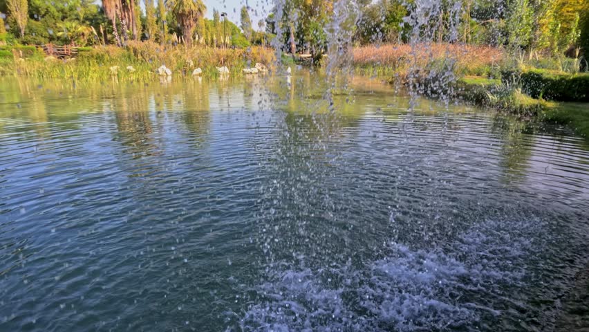 Sunny park landscape featuring a peaceful pond