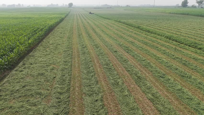 Using a pull-type rotary disc, a farmer cuts a field of hay in NE Wisconsin.