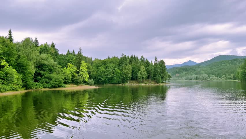 forest reflection in the lake