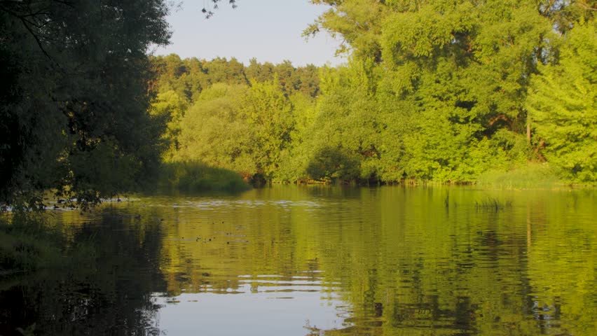 Tranquil Pond And Trees With Water Reflections In A Sunny Summer Landscape.