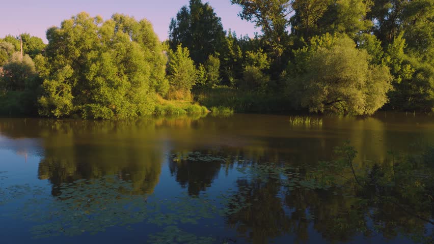 Tranquil Pond And Trees With Water Reflections In A Sunny Summer Landscape.