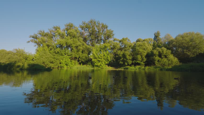 Tranquil Pond And Trees With Water Reflections In A Sunny Summer Landscape.