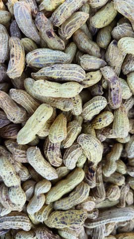 Top View Close Up of Boiled Peanuts in Shell Background