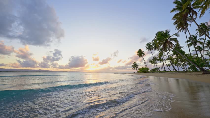 Calm waves lapping against a sandy beach against a backdrop of a sunset. Palm trees in the background. A serene summer seascape. Sun reflected in wet sand. Glowing clouds over the ocean.