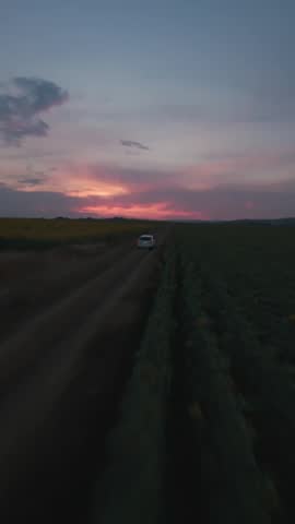 Vertical FPV drone flight from rural road into sunflower field at sunset in Sofia, Bulgaria.