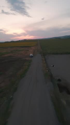 Vertical FPV drone flight turning from rural road into sunflower field in Sofia.