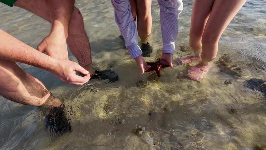 Group of people standing in shallow clear sea water, touching a starfish on the sandy bottom during a sunny beach day.