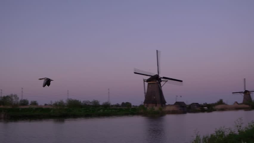 Two Geese Flying over Canal at Kinderdijk during Dusk

Two wild geese flying in formation over a calm water canal at dusk with a colorful sunset sky in Kinderdijk, Netherlands.