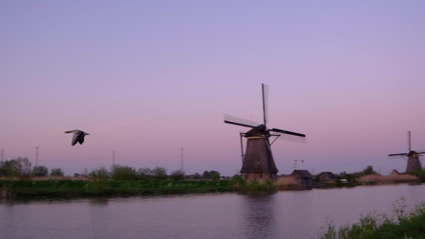 Two Geese Flying over Canal at Kinderdijk during Dusk

Two wild geese flying in formation over a calm water canal at dusk with a colorful sunset sky in Kinderdijk, Netherlands.