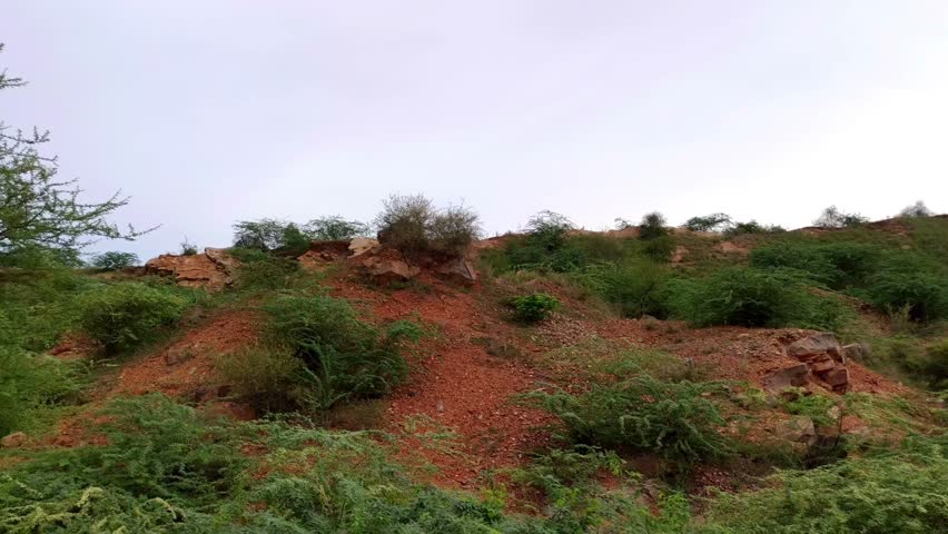 Rocky Hillside Landscape with Green Shrubs