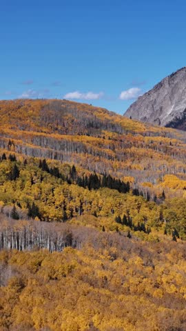 Vertical Drone Shot of Amazing Fall Colors in Countryside Landscape of Colorado USA on Sunny Autumn Day