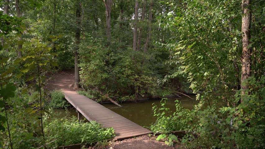 Wooden Footbridge Crossing Small Water Canal in Hoge Bergse Bos Park

A simple wooden footbridge crossing a small water canal inside a lush forest in Hoge Bergse Bos park, Rotterdam, late in the afternoon in early autumn.