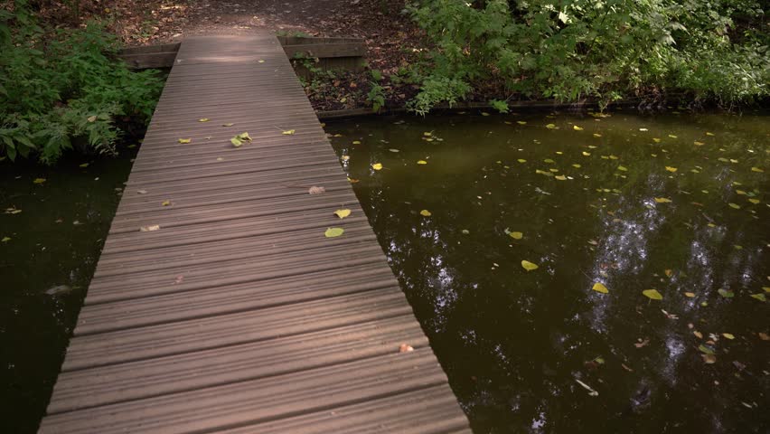 Wooden Footbridge Crossing Small Water Canal in Hoge Bergse Bos Park

A simple wooden footbridge crossing a small water canal inside a lush forest in Hoge Bergse Bos park, Rotterdam, late in the afternoon in early autumn.