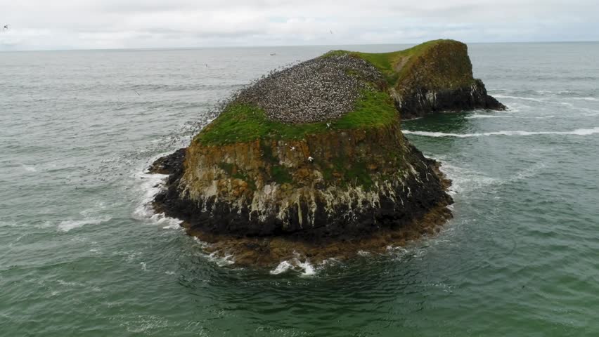 A cinematic drone shot of a large flock of birds scattering from the top of sea spires known as "Bird Rocks" rising from the Pacific beside John Yeon State Natural Site, on Oregon’s coast.