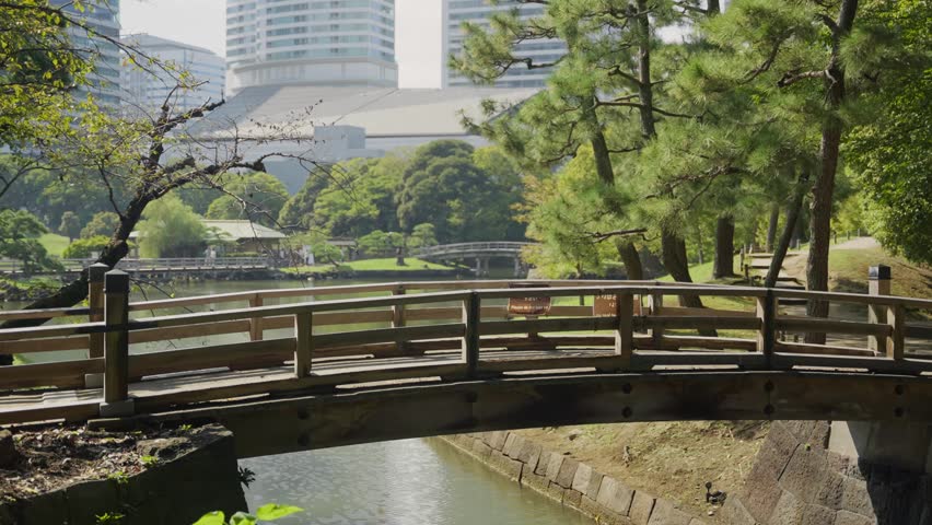 Young woman walking across a wooden bridge over a moat in the Hamarikyu Gardens in Tokyo, Japan, with city buildings visible in the background on a sunny day in late spring