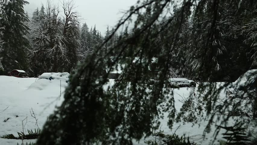 Snow-covered cabin in a dense winter conifer forest, with parked cars, frosted trees and quiet mountain lodge atmosphere on a cold overcast day.